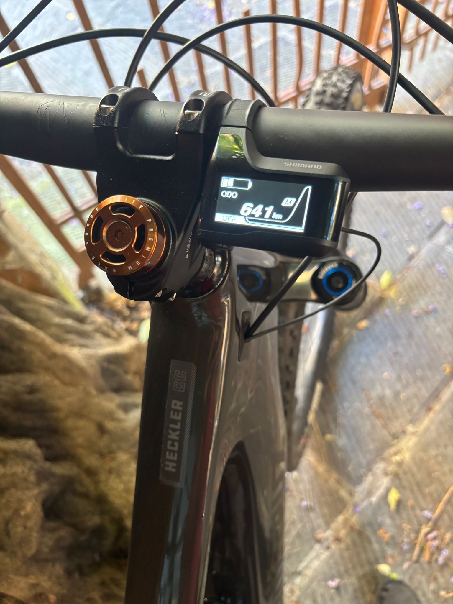 Santa Cruz Heckler CC