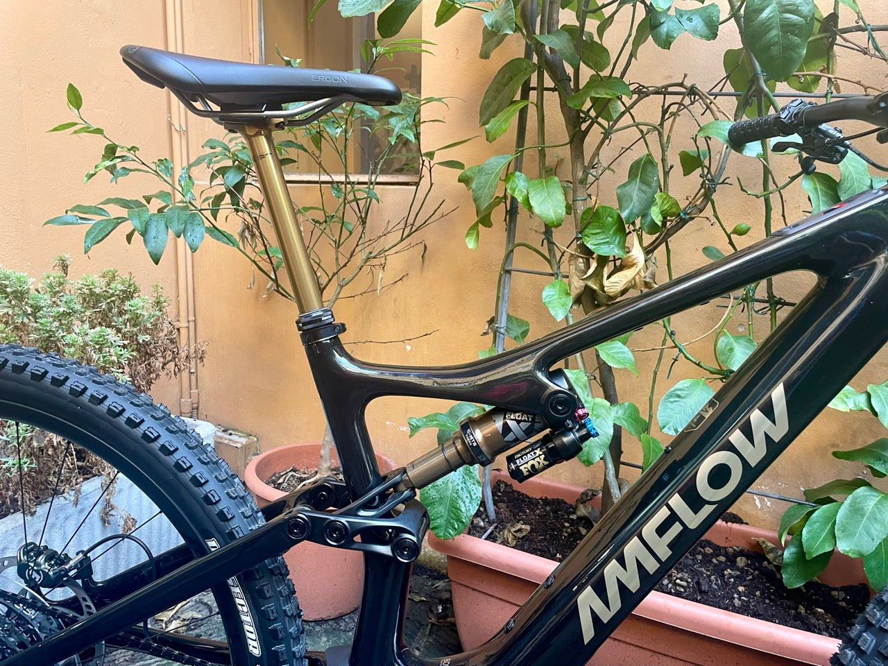 AMFLOW PL CARBON PRO 800 WH