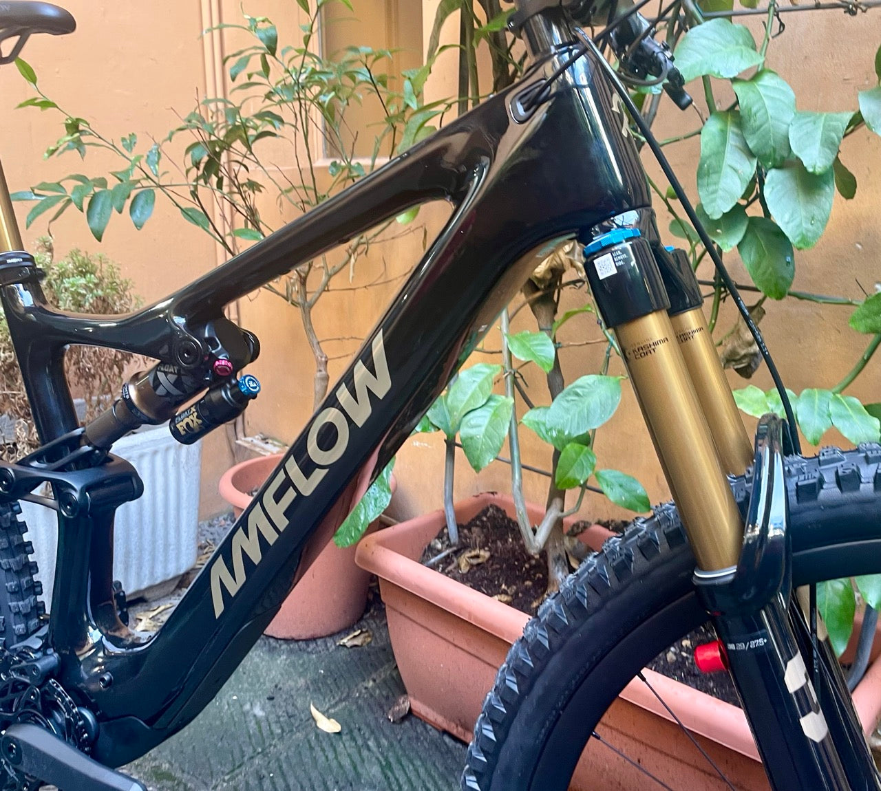 AMFLOW PL CARBON PRO 800 WH