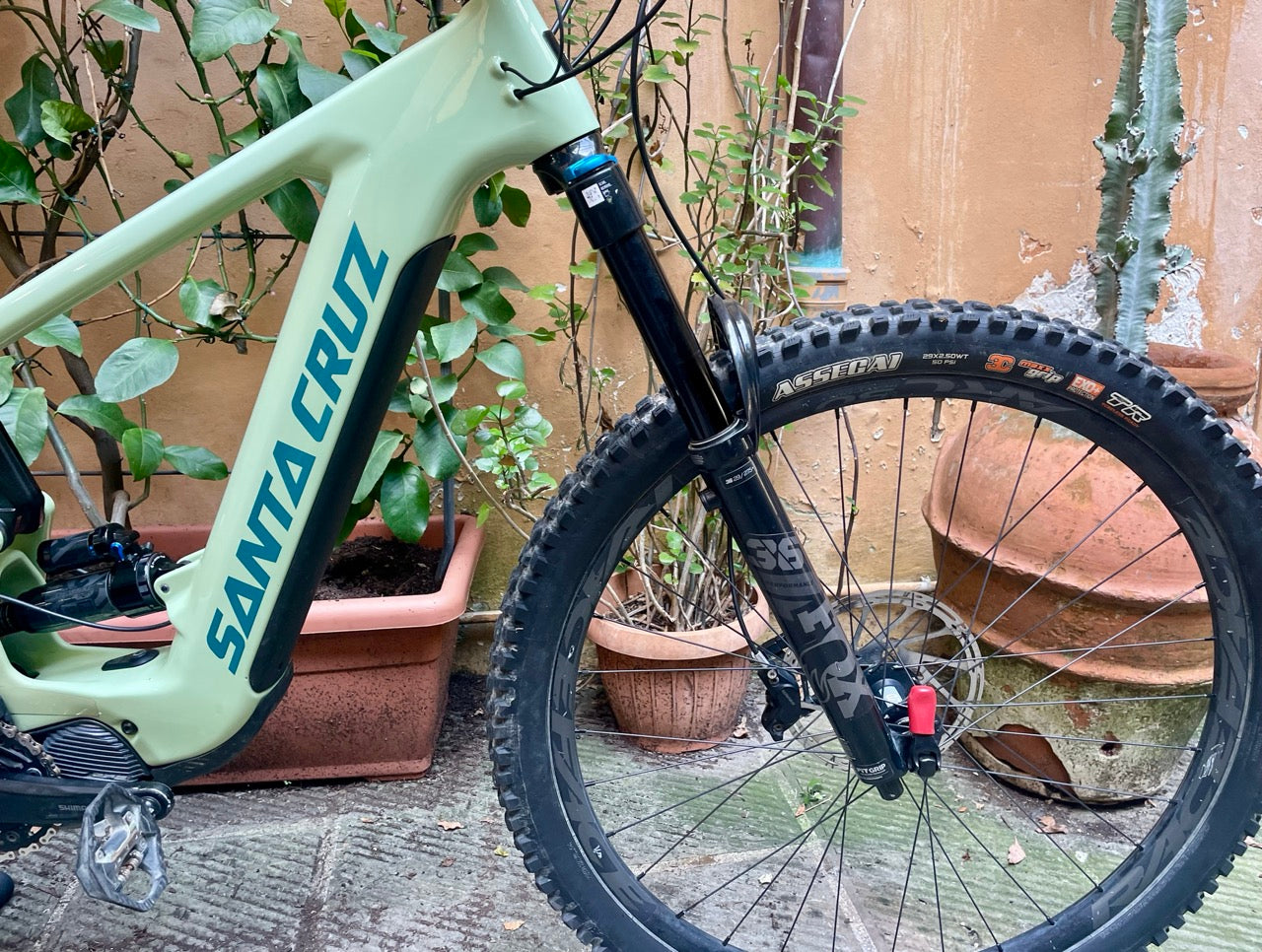 Santa Cruz Heckler 9C