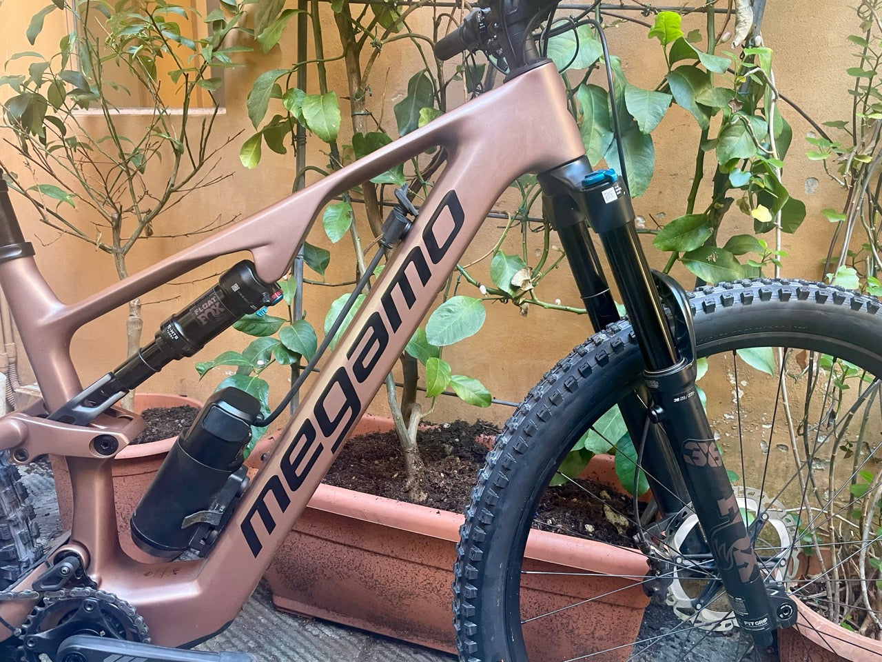 MEGAMO NATIVE 05 2024