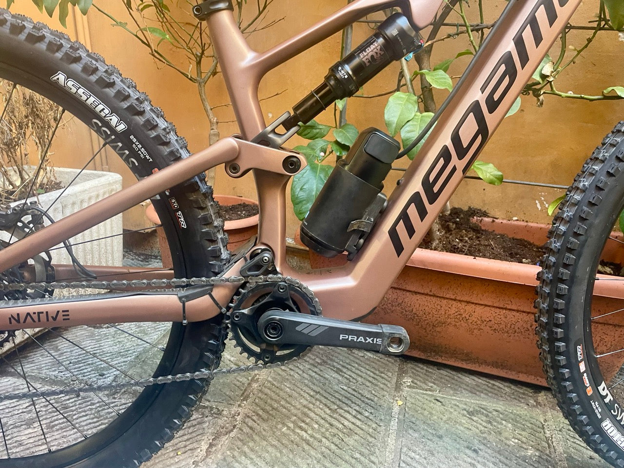 MEGAMO NATIVE 05 2024