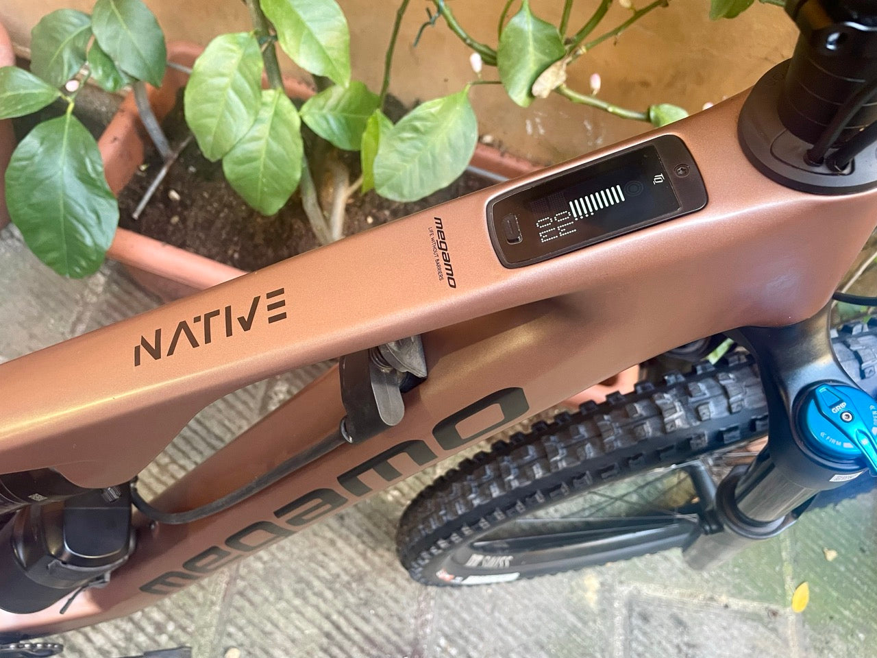 MEGAMO NATIVE 05 2024