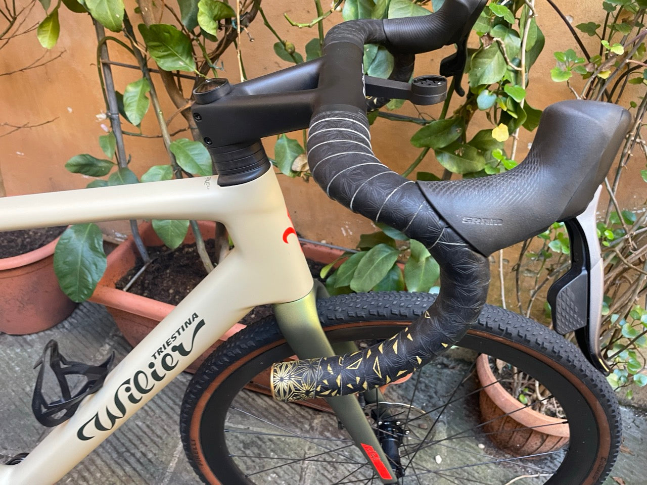 Wilier Triestina Rave SLR