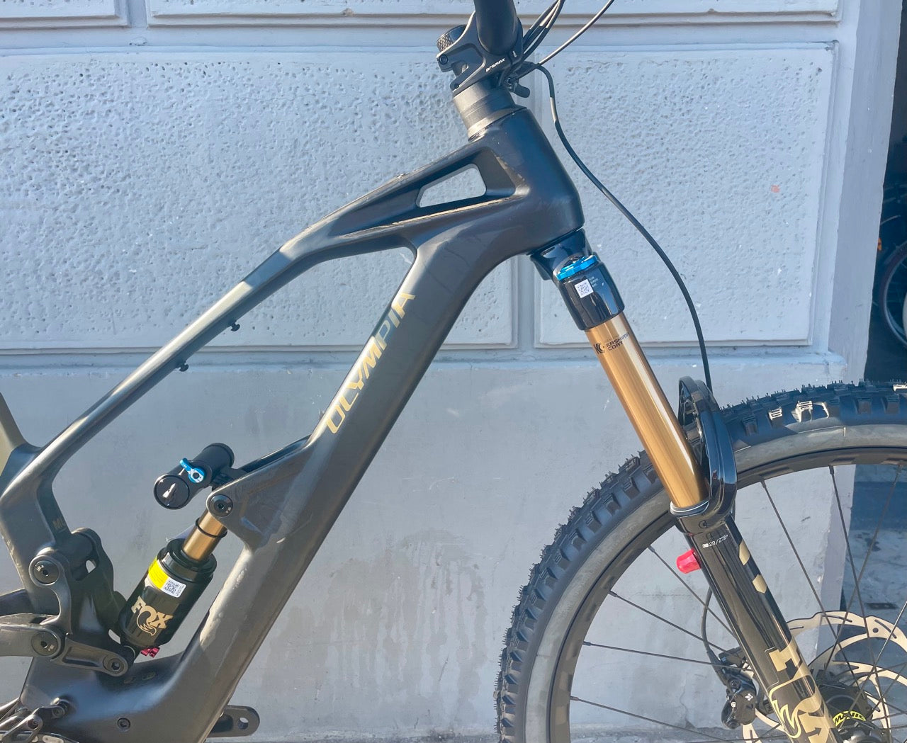OLYMPIA HEKTON 180 EVO