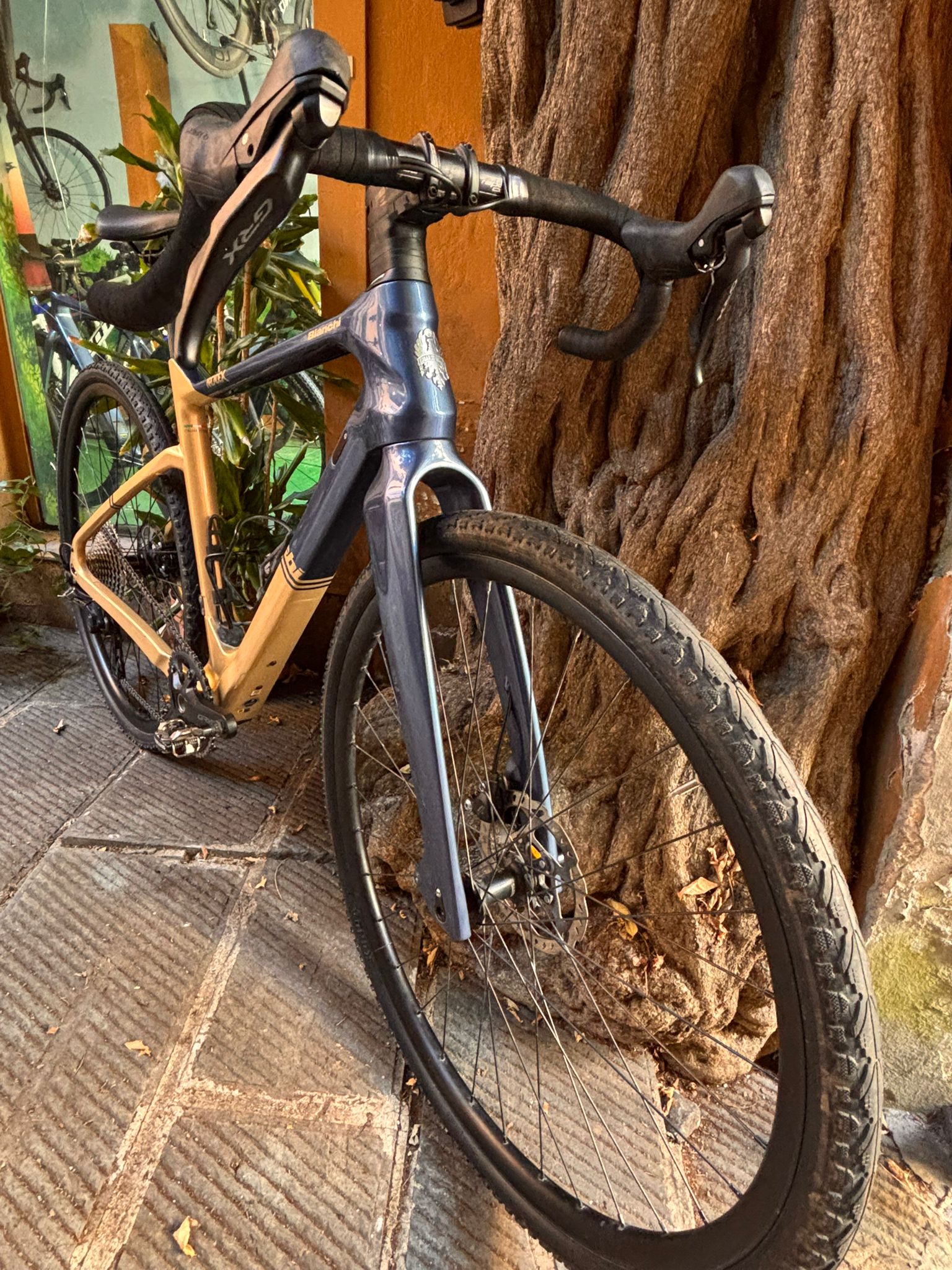Bianchi gravel ArcadeX
