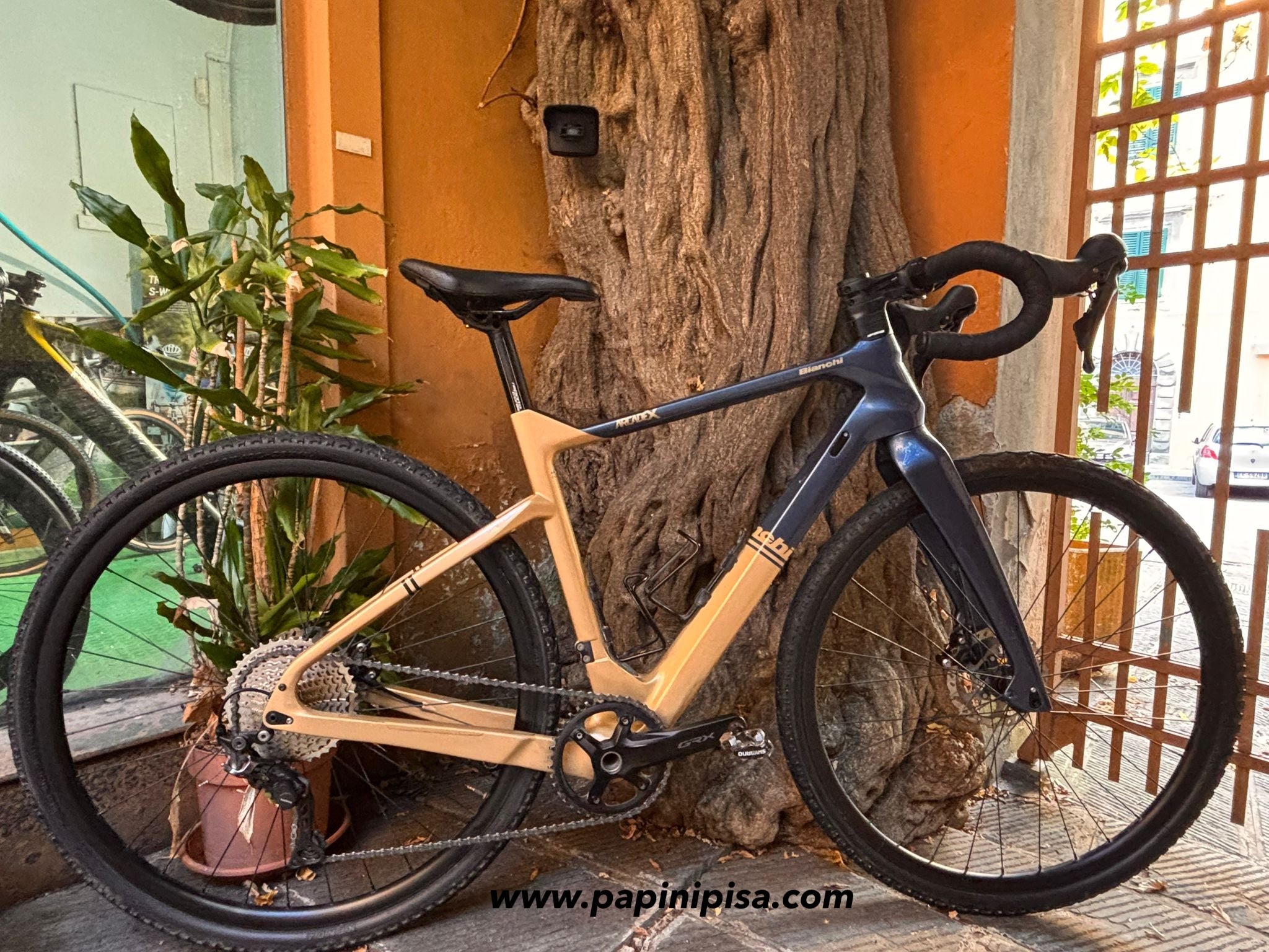 Bianchi gravel ArcadeX
