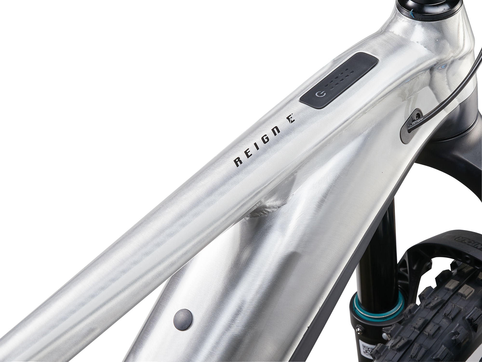 GIANT REIGN E+ 3 2024