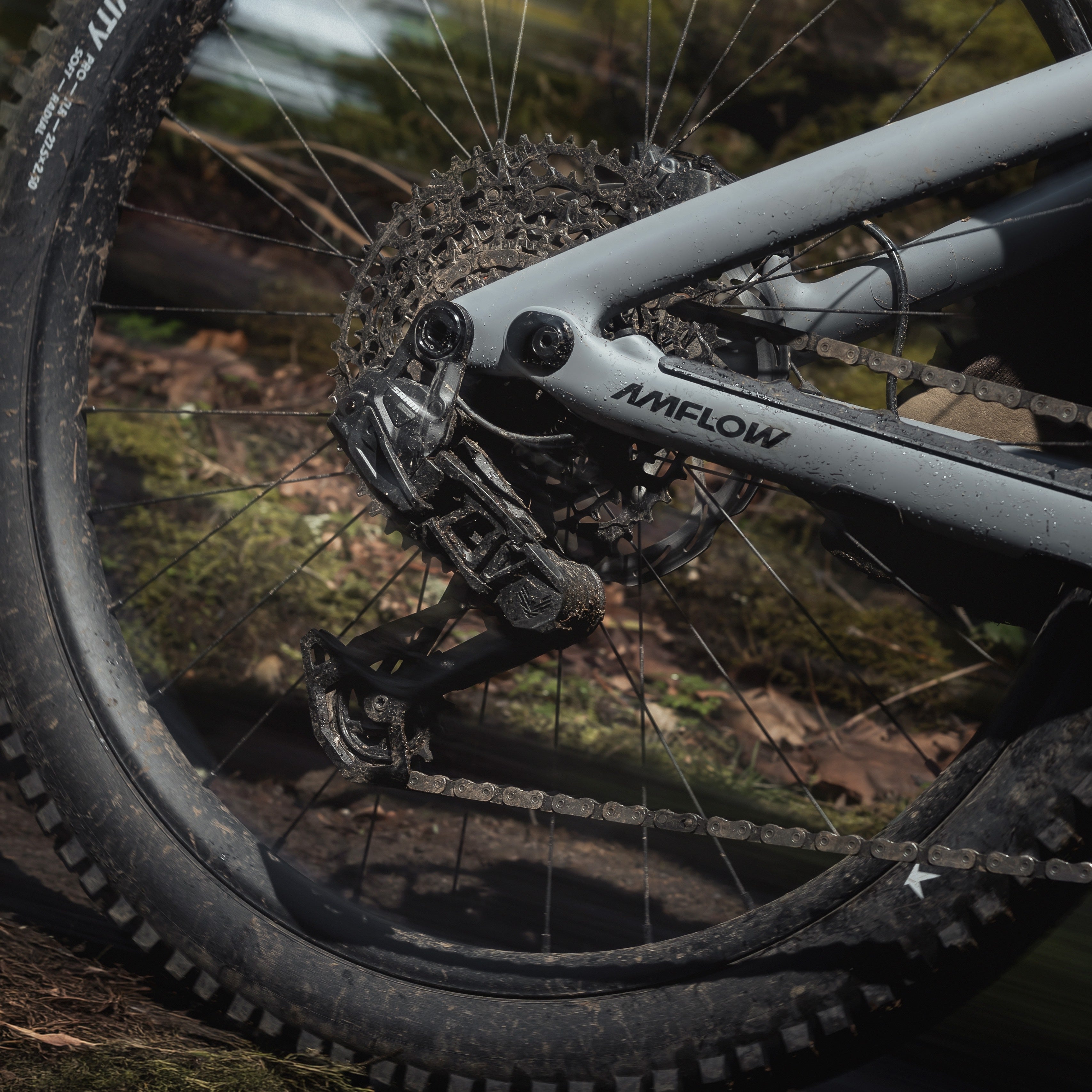 Amflow 2027  PR Carbon Pro