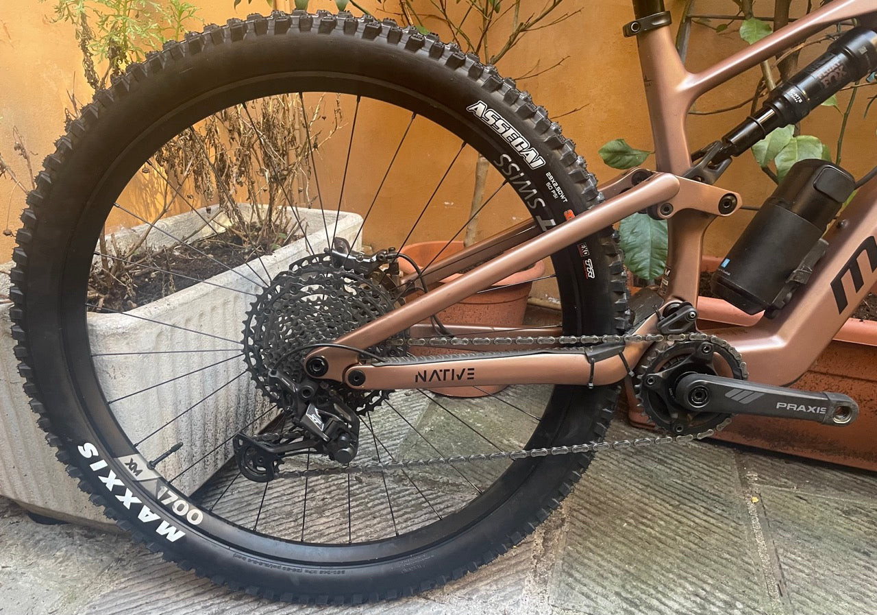 MEGAMO NATIVE 05 2024