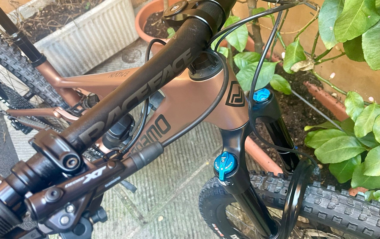 MEGAMO NATIVE 05 2024