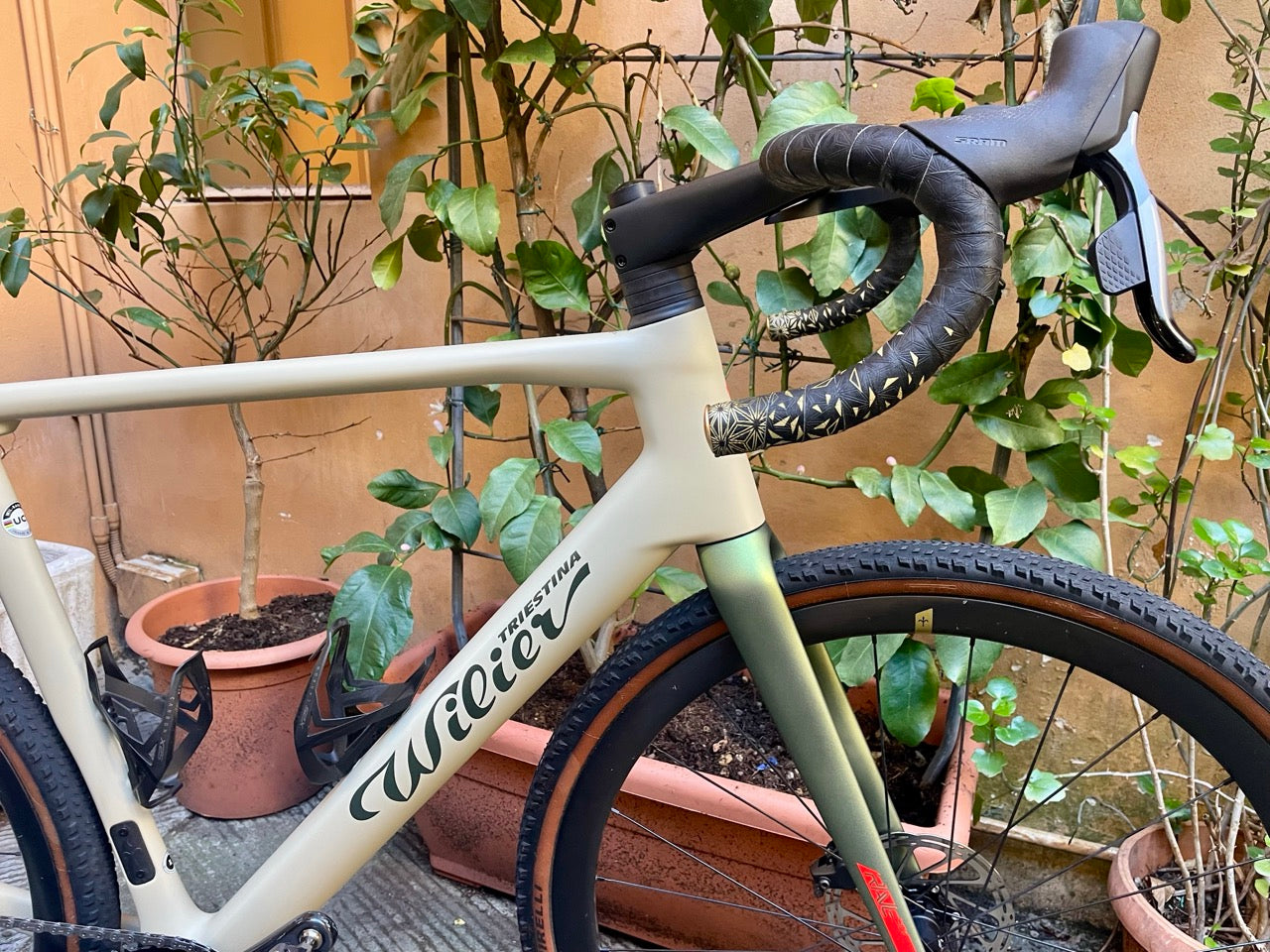 Wilier Triestina Rave SLR