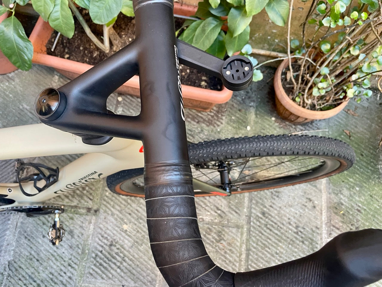 Wilier Triestina Rave SLR