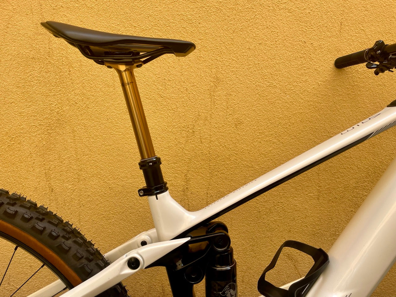 ORBEA WILD M-TEAM