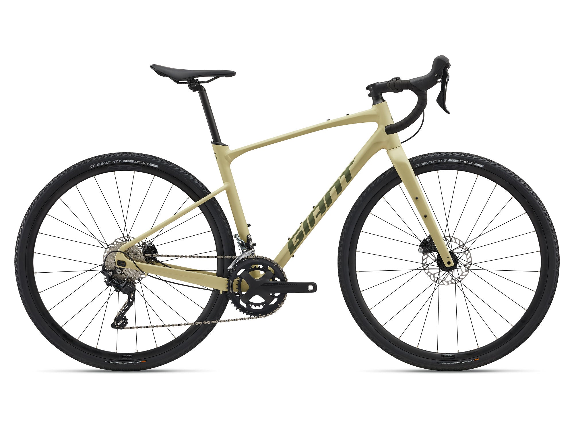 GIANT REVOLT 1 2025