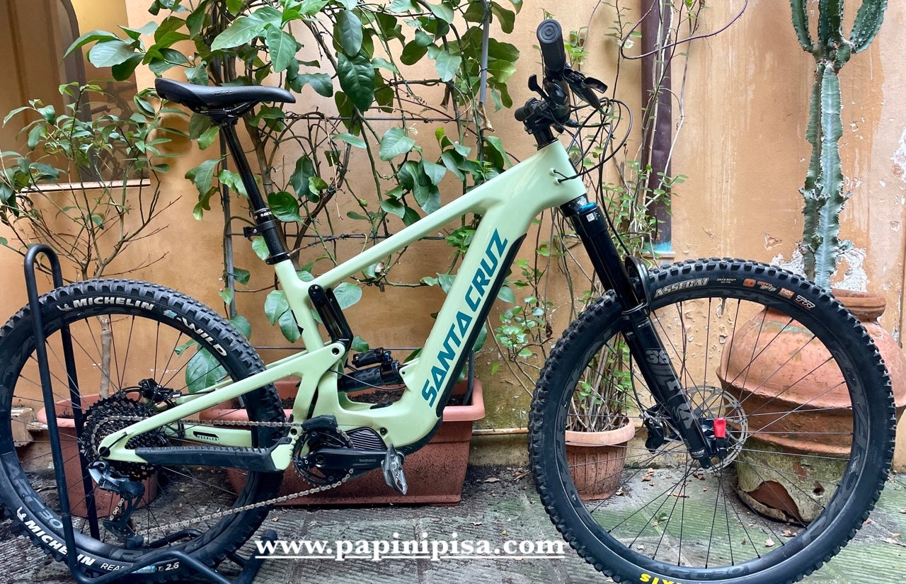 Santa Cruz Heckler 9C